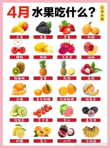 水果图片大全大图_高清水果图鉴怎么找