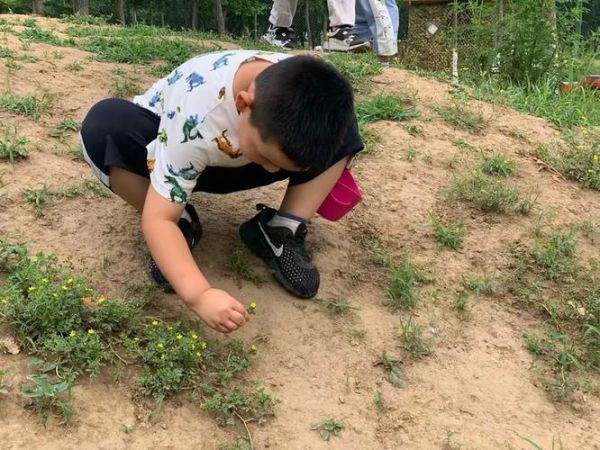 幼儿园迅雷下载安全吗_幼儿园迅雷下载资源在哪找