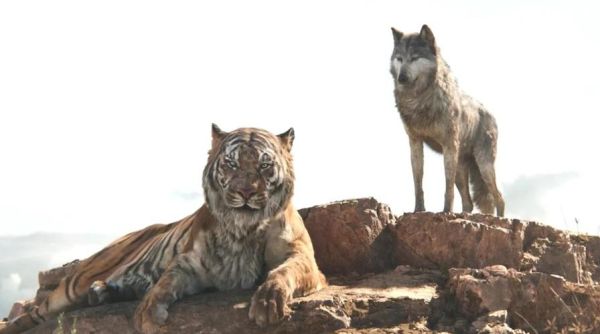 梦到和老虎打架是什么意思_如何化解梦中猛兽攻击