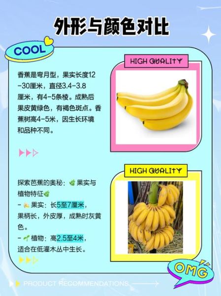 芭蕉图片大全_芭蕉和香蕉的区别