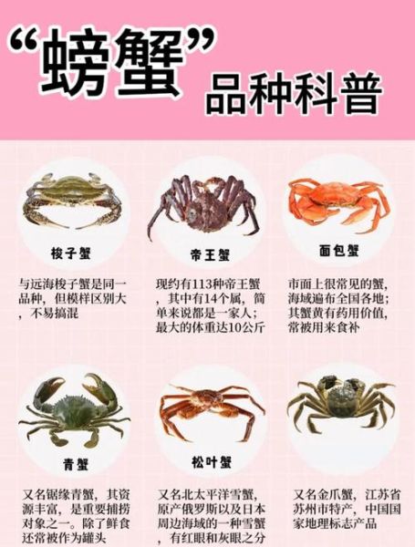 螃蟹图片大全高清_如何挑选肥美螃蟹