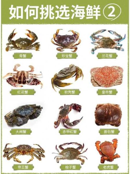 螃蟹图片大全高清_如何挑选肥美螃蟹