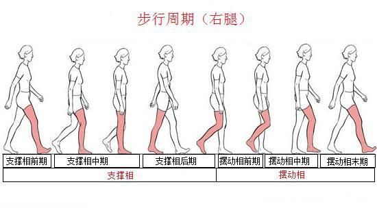 步行图片大全哪里找_步行姿势图解怎么拍