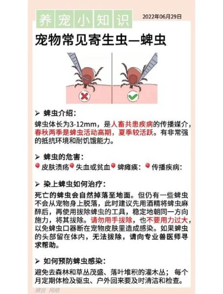 梦到蜱虫是什么意思_如何化解