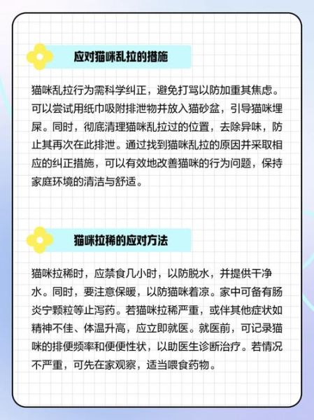 梦到在床上拉屎是什么意思_如何化解尴尬梦境