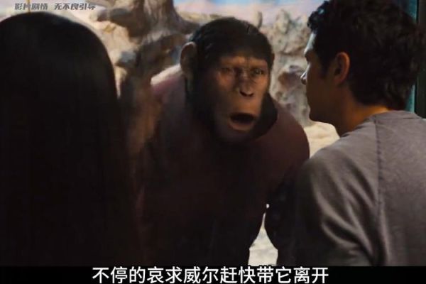 猩球崛起1迅雷下载_高清资源去哪找