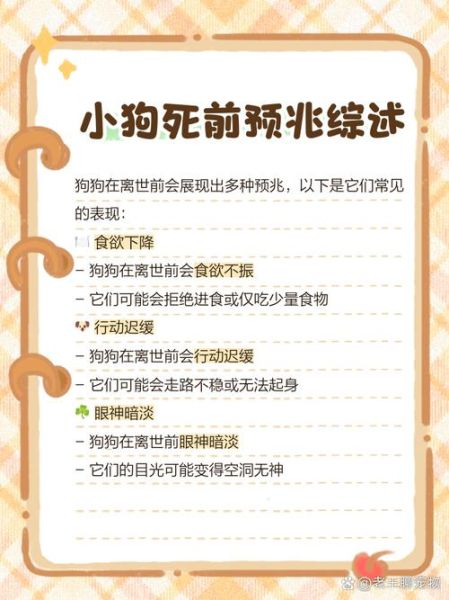 梦到家里的狗是什么意思_梦见狗死了预示什么