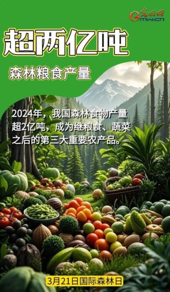 食物链迅雷下载_哪里能找到高清资源