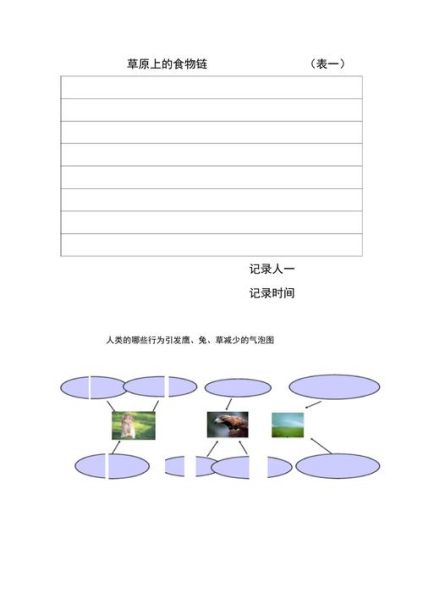 食物链迅雷下载_哪里能找到高清资源