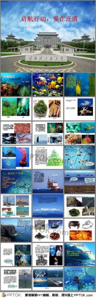 食物链迅雷下载_哪里能找到高清资源