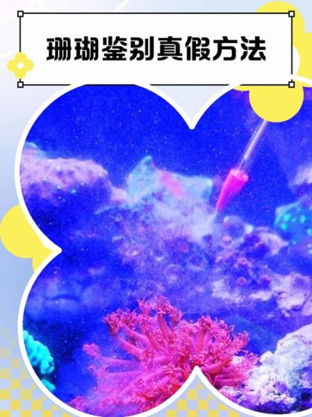 珊瑚的种类有哪些_如何辨别真假珊瑚