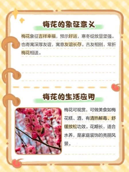 梦到梅花是什么意思_梅花梦境解析