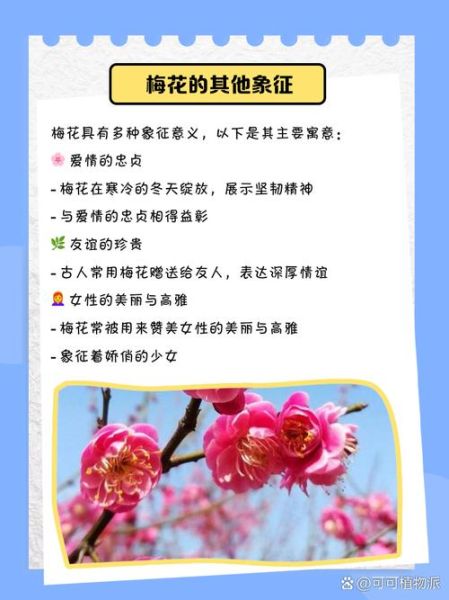 梦到梅花是什么意思_梅花梦境解析