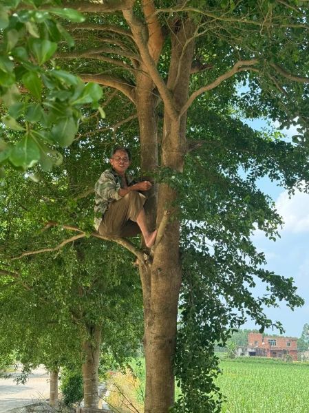 梦到爬树是什么意思_爬树梦境解析