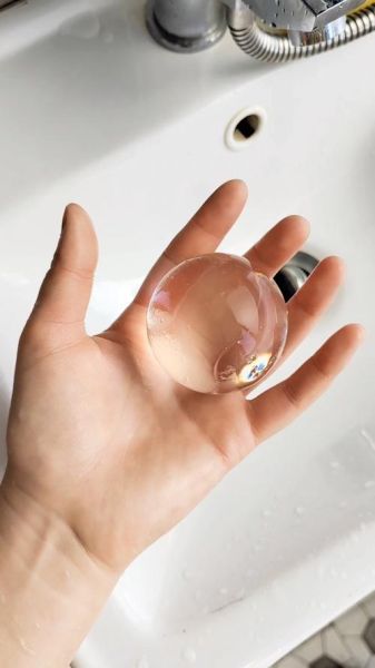 水宝宝是什么_水宝宝有毒吗