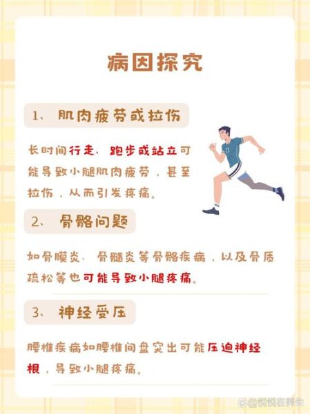 腿疼图片大全_腿疼位置图解对照表