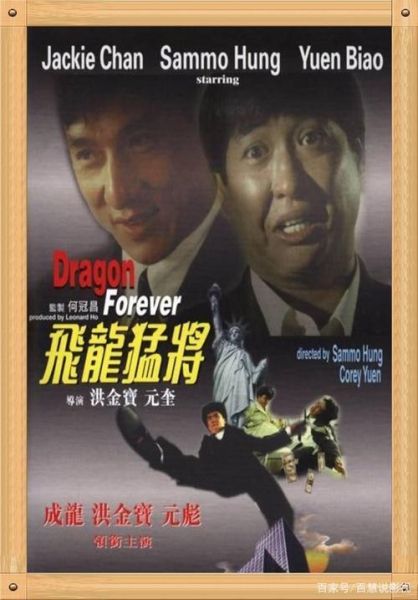 飞龙猛将迅雷下载_迅雷资源安全吗