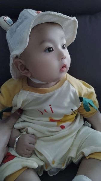 壁纸宝宝怎么选_壁纸宝宝安全吗