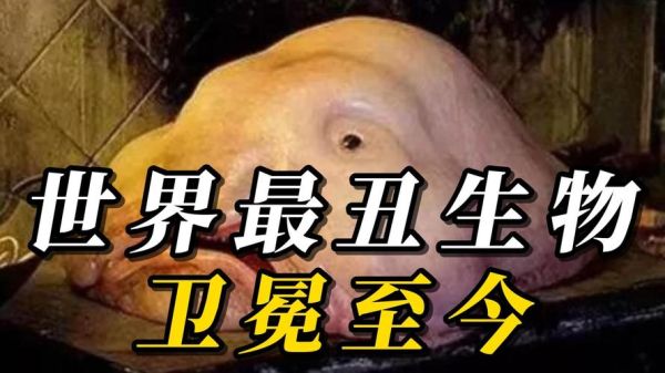 丑陋的图片大全_如何辨别视觉污染