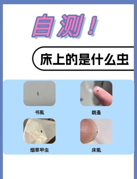 梦到床上有虫子是什么意思_如何化解