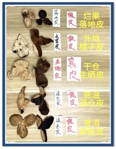 陈皮图片大全_如何辨别真假陈皮