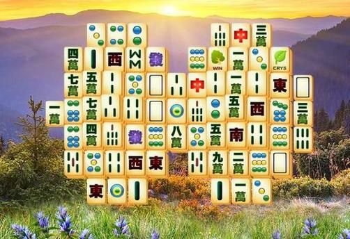 梦到打牌是什么意思_梦见打牌输了钱怎么办