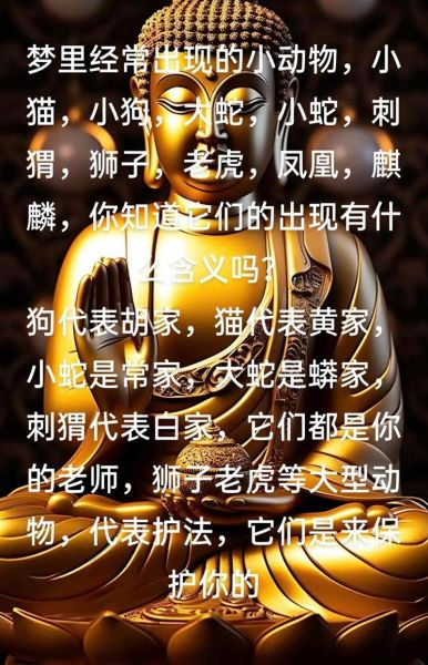 梦到火化是什么意思_梦见火化亲人预示什么