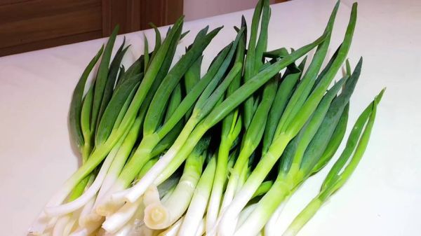 大葱图片大全_如何挑选新鲜大葱