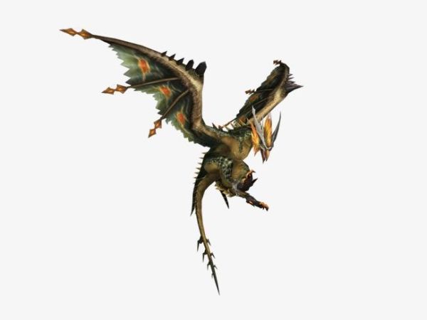 飞龙图片大全_飞龙长什么样