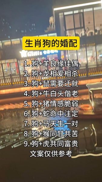 属狗夫妻生什么宝宝好_属狗生什么属相孩子最旺