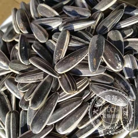 梦到买瓜子是什么意思_梦见买瓜子周公解梦