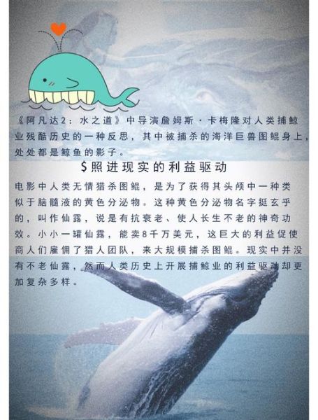 梦到鲸鱼是什么意思_鲸鱼梦境解析