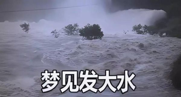梦到发大水了预示什么_梦见洪水是吉是凶