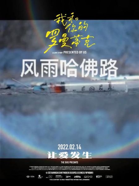 风雨哈佛路迅雷下载_如何安全获取高清资源