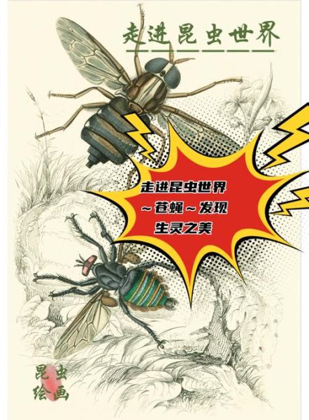 苍蝇图片大全_苍蝇高清图鉴怎么找