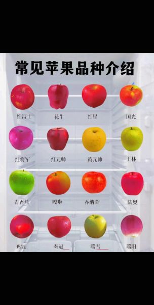苹果图片大全_苹果品种图片怎么区分