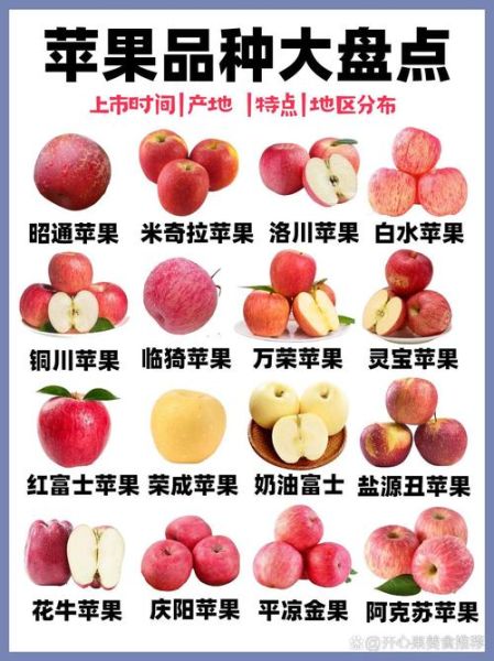 苹果图片大全_苹果品种图片怎么区分