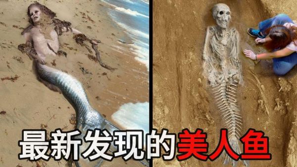 美人鱼图片大全_美人鱼真实存在吗