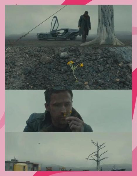 银翼杀手迅雷下载_银翼杀手高清资源在哪找