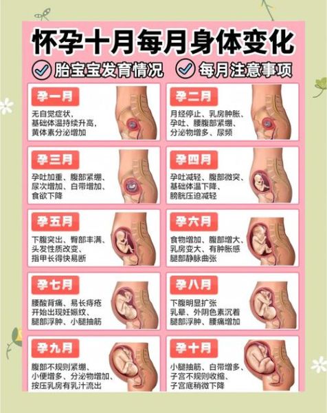 宝宝夭折后多久可以怀孕_如何走出心理阴影