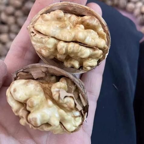 女人梦到在树下捡核桃_周公解梦准吗