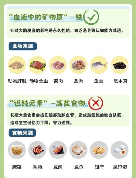 宝宝吃什么补脑_促进大脑发育的食物