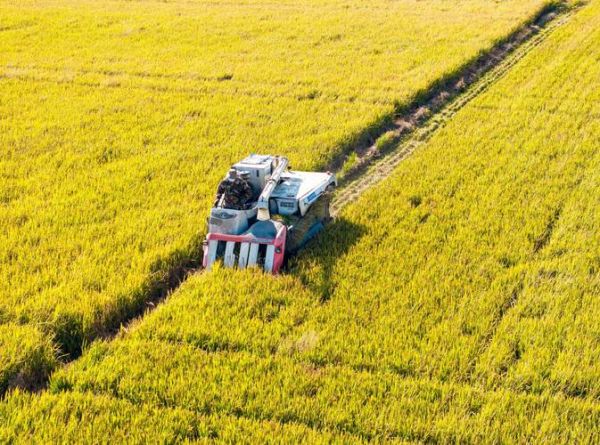 秋天收获图片大全_如何拍摄丰收场景