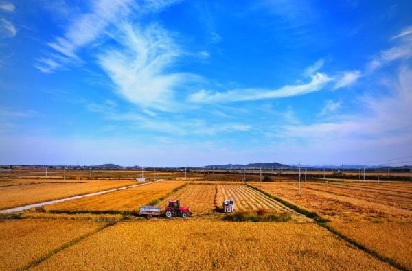 秋天收获图片大全_如何拍摄丰收场景