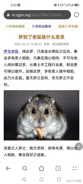 梦到死老鼠是什么意思_梦见死老鼠预示什么