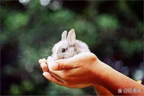 梦到旋风旋到自己_是什么意思