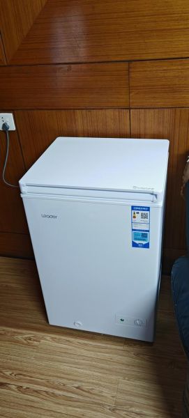 冰柜图片大全_家用冰柜怎么选