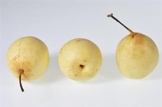 梦到吃梨是什么意思_周公解梦原版解析