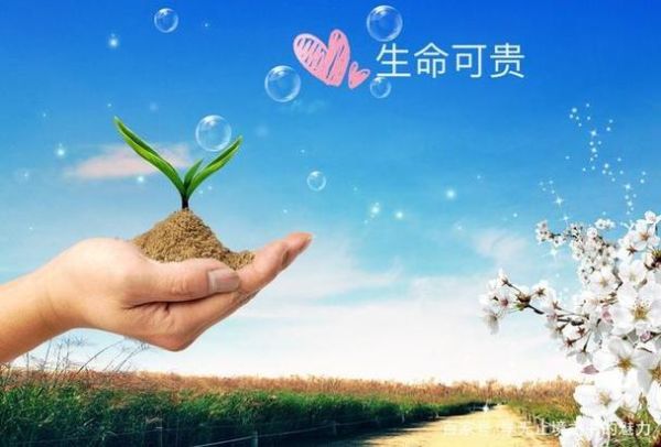 生命图片大全_生命意义图片有哪些