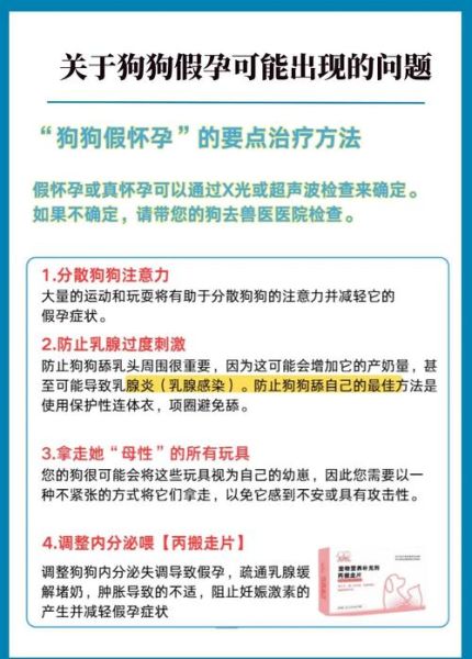 孕妇梦到黄狗是什么意思_胎梦解析与心理暗示